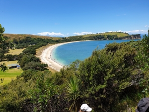 Image of shakespearjan21h.jpg