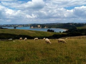 Image of shakespearjan22b.jpg