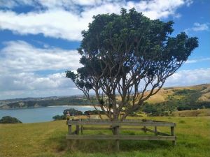 Image of shakespearjan22c.jpg