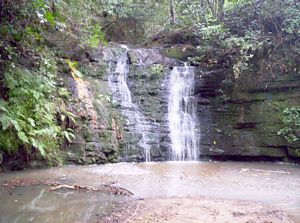 Image of shakespearmay06abwaterfall.jpg