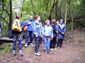 Image of shakespearmay06adwaterfall.jpg