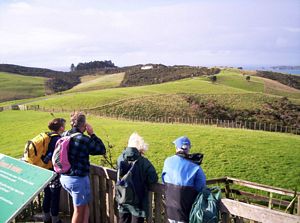 Image of shakespearmay06ailookoutview.jpg