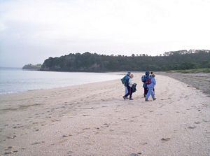 Image of shakespearmay06avteharuhibay.jpg