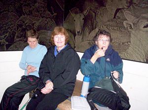 Image of shakespearmay06bbwoolshed.jpg