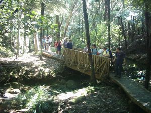 Image of shakespearoct2003bushtrack3.jpg