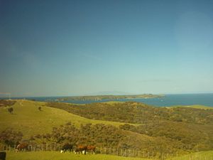 Image of shakespearoct2003lookouttiritiri.jpg