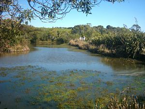 Image of shakespearoct2003pond.jpg