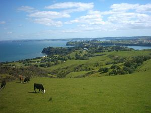 Image of shakespearoct2003whangaparaoa.jpg