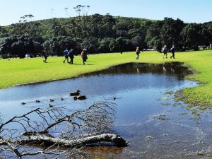 Image of shakespearsep23a.jpg