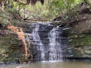 Image of shakespearsep23c.jpg