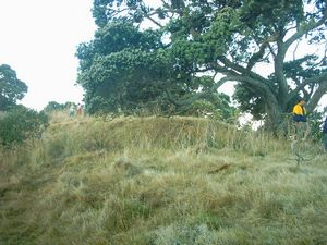 Image of slipperisland04cannibalpoint.jpg