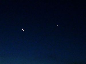 Image of slipperisland04moonvenus.jpg