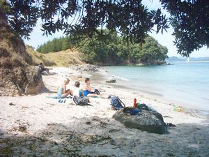 Image of slipperisland04stingraybay.jpg