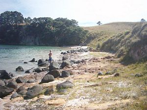 Image of slipperisland04stingraybay2.jpg