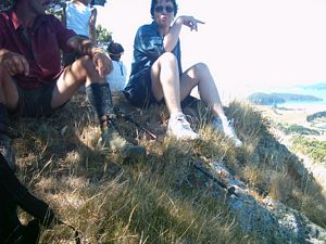 Image of slipperisland04summit.jpg