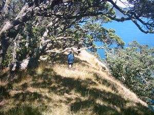 Image of slipperisland04summitridge2.jpg