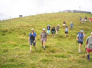 Image of southkaiparafeb07acsettingout.jpg