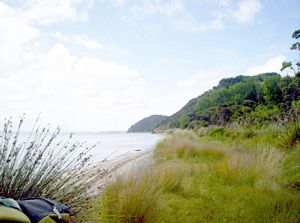 Image of southkaiparafeb07bccoast.jpg