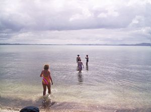 Image of southkaiparafeb07beswim.jpg