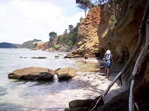 Image of southkaiparafeb07eacoast.jpg