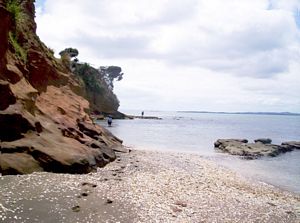 Image of southkaiparafeb07ebcoast.jpg