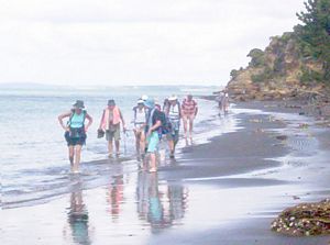 Image of southkaiparafeb07eiquicksand.jpg