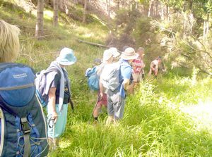 Image of southkaiparafeb07fbwalkway.jpg