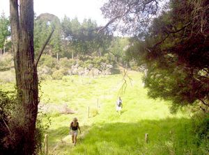 Image of southkaiparafeb07fdfinish.jpg