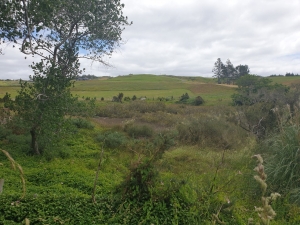 Image of stillwaterdec20a.jpg