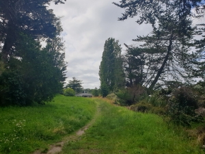 Image of stillwaterdec20j.jpg