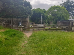 Image of stillwaterdec20k.jpg