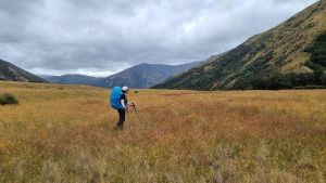 Image of stjameswalkway23c.jpg