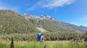 Image of stjameswalkway23d.jpg