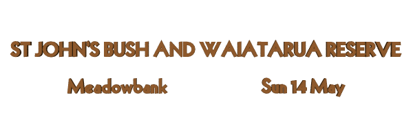 Image of stjohnsbushmay17.gif