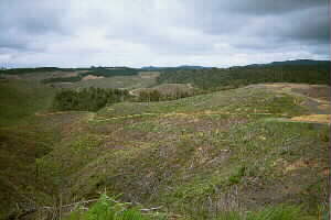 Image of stpaulsrdvalleyq.jpg