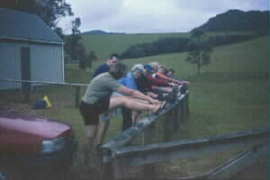 Image of stretchypetchyq.jpg