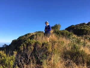 Image of summertramps19c1.jpg