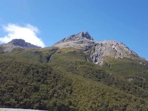 Image of summertramps19e1.jpg