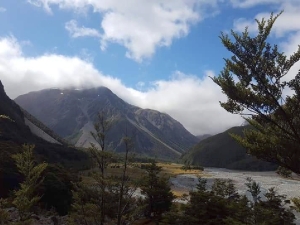 Image of summertramps19e2.jpg