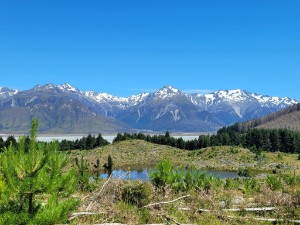 Image of summertramps26twizel4_copy_300x225.jpg