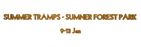 Image of sumnerforestpark17.gif