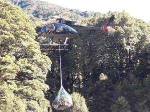 Image of sumnertravailmar19a.jpg