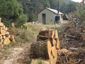 Image of sumnertravailmar19d.jpg