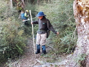 Image of sumnertravailmar19h.jpg