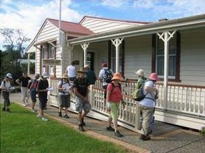 Image of swanson11a.jpg