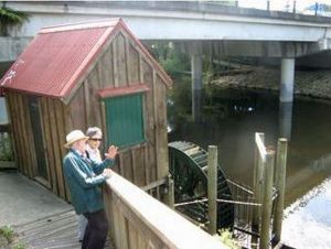 Image of swanson11b.jpg