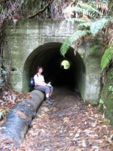 Image of swanson11c.jpg