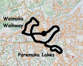 Image of swansonmap03.jpg