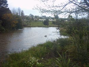 Image of swansonoct2003ranuipond.jpg