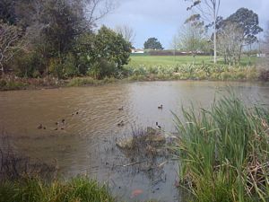 Image of swansonoct2003ranuipond2.jpg